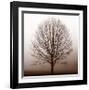 Stillness-Erin Clark-Framed Giclee Print