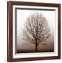 Stillness-Erin Clark-Framed Giclee Print