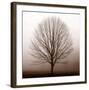 Stillness-Erin Clark-Framed Art Print