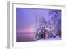 Stillness-Norbert Maier-Framed Giclee Print