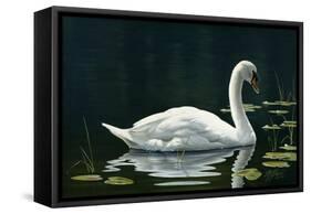 Stillwater-Wilhelm Goebel-Framed Stretched Canvas