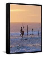Stilt Fisherman at Weligama, South Coast, Sri Lanka, Asia-Peter Barritt-Framed Stretched Canvas