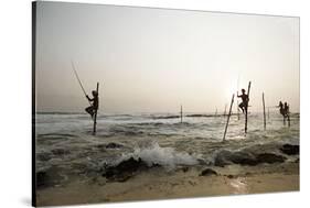 Stilt fisherman in Sri Lanka-Rasmus Kaessmann-Stretched Canvas