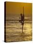 Stilt Fisherman (Pole Fisherman), Sri Lanka-Michael Busselle-Stretched Canvas