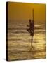 Stilt Fisherman (Pole Fisherman), Sri Lanka-Michael Busselle-Stretched Canvas