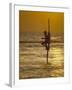 Stilt Fisherman (Pole Fisherman), Sri Lanka-Michael Busselle-Framed Photographic Print