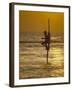 Stilt Fisherman (Pole Fisherman), Sri Lanka-Michael Busselle-Framed Photographic Print