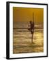 Stilt Fisherman (Pole Fisherman), Sri Lanka-Michael Busselle-Framed Photographic Print