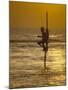 Stilt Fisherman (Pole Fisherman), Sri Lanka-Michael Busselle-Mounted Photographic Print