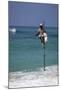 Stilt Fisherman Using Traditional Fishing Techniques on a Wooden Pole-Charlie-Mounted Photographic Print