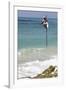 Stilt Fisherman Using Traditional Fishing Techniques on a Wooden Pole-Charlie-Framed Photographic Print