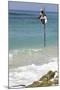 Stilt Fisherman Using Traditional Fishing Techniques on a Wooden Pole-Charlie-Mounted Photographic Print