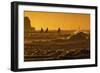 Stilt Fishermen at Sunrise-Alex Saberi-Framed Photographic Print