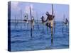 Stilt Fishermen at Welligama, South Coast, Sri Lanka, Indian Ocean, Asia-Bruno Morandi-Stretched Canvas