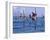 Stilt Fishermen at Welligama, South Coast, Sri Lanka, Indian Ocean, Asia-Bruno Morandi-Framed Photographic Print