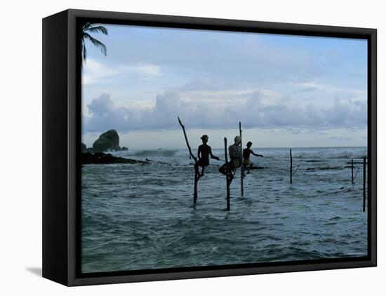 Stilt Fishermen Fishing from Their Poles Between Unawatuna and Weligama, Sri Lanka-Yadid Levy-Framed Stretched Canvas