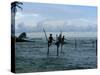 Stilt Fishermen Fishing from Their Poles Between Unawatuna and Weligama, Sri Lanka-Yadid Levy-Stretched Canvas