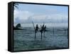 Stilt Fishermen Fishing from Their Poles Between Unawatuna and Weligama, Sri Lanka-Yadid Levy-Framed Stretched Canvas