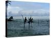 Stilt Fishermen Fishing from Their Poles Between Unawatuna and Weligama, Sri Lanka-Yadid Levy-Stretched Canvas