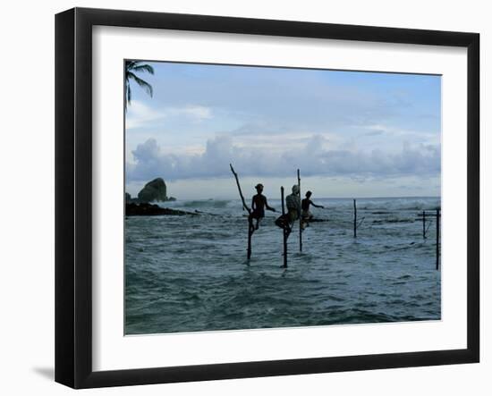 Stilt Fishermen Fishing from Their Poles Between Unawatuna and Weligama, Sri Lanka-Yadid Levy-Framed Photographic Print