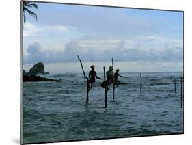 Stilt Fishermen Fishing from Their Poles Between Unawatuna and Weligama, Sri Lanka-Yadid Levy-Mounted Photographic Print