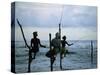 Stilt Fishermen Fishing from Their Poles Between Unawatuna and Weligama, Sri Lanka-Yadid Levy-Stretched Canvas