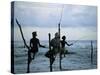 Stilt Fishermen Fishing from Their Poles Between Unawatuna and Weligama, Sri Lanka-Yadid Levy-Stretched Canvas