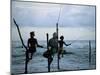 Stilt Fishermen Fishing from Their Poles Between Unawatuna and Weligama, Sri Lanka-Yadid Levy-Mounted Photographic Print