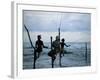 Stilt Fishermen Fishing from Their Poles Between Unawatuna and Weligama, Sri Lanka-Yadid Levy-Framed Photographic Print