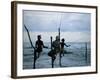 Stilt Fishermen Fishing from Their Poles Between Unawatuna and Weligama, Sri Lanka-Yadid Levy-Framed Photographic Print