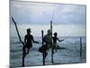 Stilt Fishermen Fishing from Their Poles Between Unawatuna and Weligama, Sri Lanka-Yadid Levy-Mounted Photographic Print