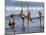 Stilt Fishermen, Weligama, Sri Lanka, Asia-Upperhall Ltd-Mounted Photographic Print