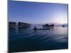 Stilt House Villages Over the Sea, Lived in by Bajau Families, Sabah, Island of Borneo, Malaysia-Lousie Murray-Mounted Photographic Print