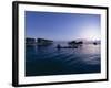 Stilt House Villages Over the Sea, Lived in by Bajau Families, Sabah, Island of Borneo, Malaysia-Lousie Murray-Framed Photographic Print