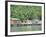 Stilt Houses of a Fishing Village, Sabah, Island of Borneo, Malaysia-Gavin Hellier-Framed Photographic Print