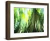 Stilt Root of a Walking Palm, Borro Colorado Island, Panama-Christian Ziegler-Framed Photographic Print