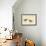 Stilt Sandpiper-John James Audubon-Framed Giclee Print displayed on a wall
