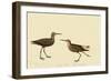 Stilt Sandpiper-John James Audubon-Framed Giclee Print