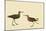 Stilt Sandpiper-John James Audubon-Mounted Giclee Print
