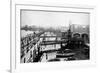 Stilted House Development, New York-null-Framed Photographic Print