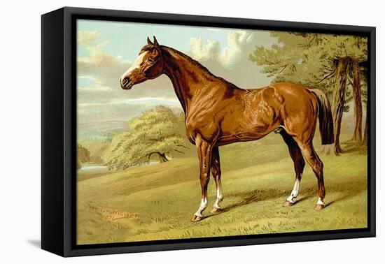 Stilton, A Hunter-Samuel Sidney-Framed Stretched Canvas