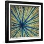 Stimulating 1-Randy Hibberd-Framed Art Print