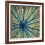 Stimulating 1-Randy Hibberd-Framed Art Print