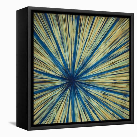 Stimulating 1-Randy Hibberd-Framed Stretched Canvas