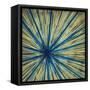 Stimulating 1-Randy Hibberd-Framed Stretched Canvas