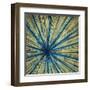 Stimulating 1-Randy Hibberd-Framed Art Print