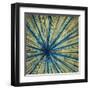 Stimulating 1-Randy Hibberd-Framed Art Print