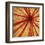 Stimulating 2-Randy Hibberd-Framed Art Print