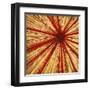 Stimulating 2-Randy Hibberd-Framed Art Print