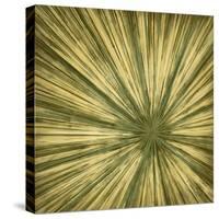 Stimulating 3-Randy Hibberd-Stretched Canvas